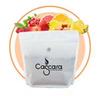 Colombia Diego Horta